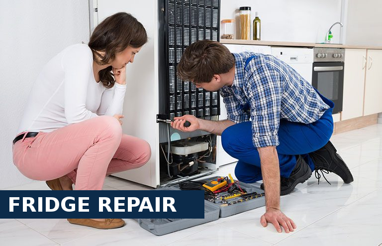 Fridge Repair Hayes